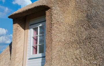 Pleckgate thatch roof disadvantages