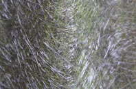 Pleckgate fibreglass roof work